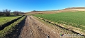 20230110_145449 - Dalla terra... il grano